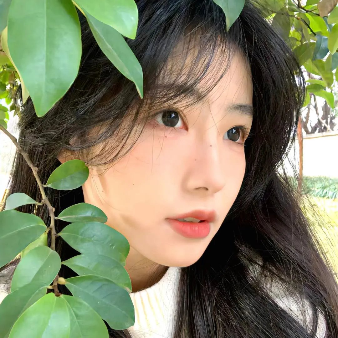 禁地之青衣玉罗